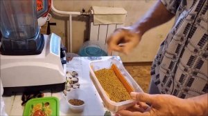 Легкий способ прорастить лечебное растение пажитник (шамбала)