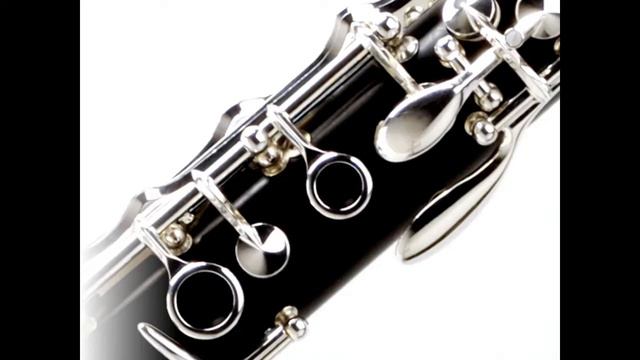 Saint Saens Clarinet Sonata Cl5tet Mvt 4 arr John Romano смотреть онлайн