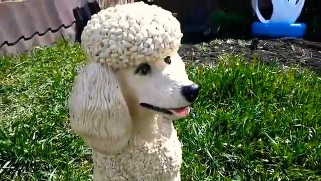 Все на пикник! Тепло, красиво, вкусно!
#срочно #отдых #покавседома#дача смотреть онлайн