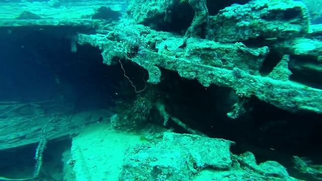 S.S THISTLEGORM смотреть онлайн