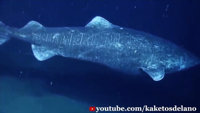 Секреты Макияжа