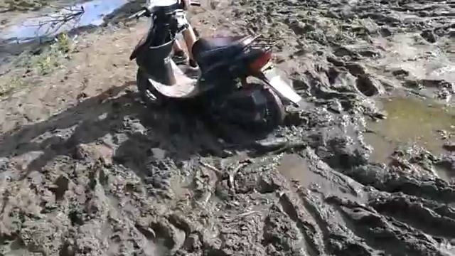 Viper sport 110cc и Honda Dio 34 смотреть онлайн