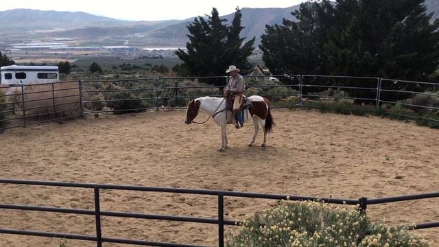 Warming Up Your Horse's mind for the Ride part 2 смотреть онлайн