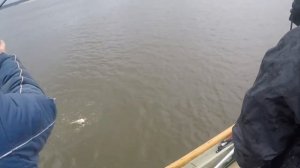 Рыбалка в Тугалово. База "Дом Рыбака".