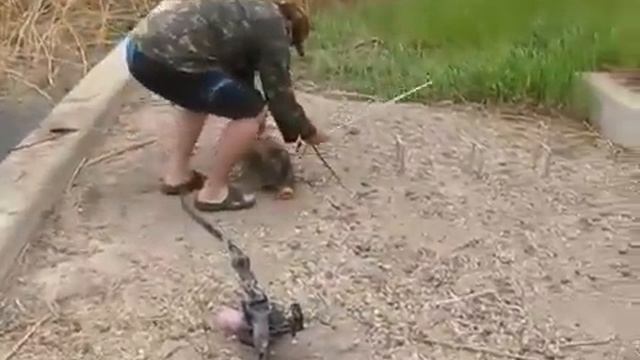 Рыбалка стрелой из лука смотреть онлайн