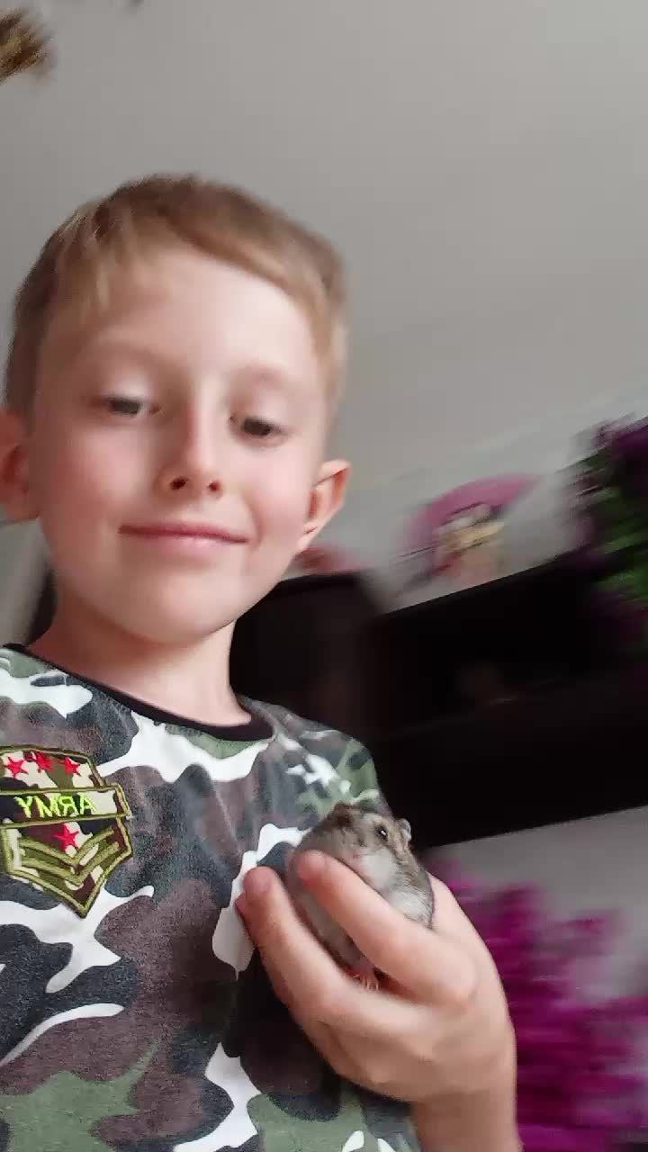 шкш смотреть онлайн
