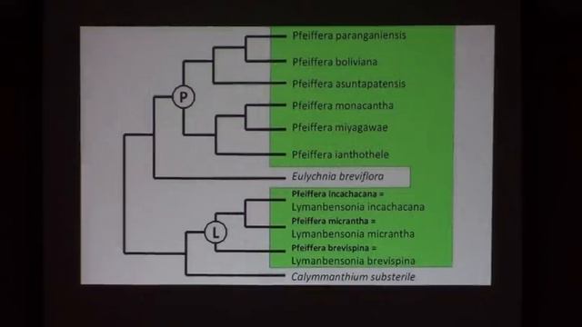 Joël Lodé -- Taxonomy  Of The Cactaceae