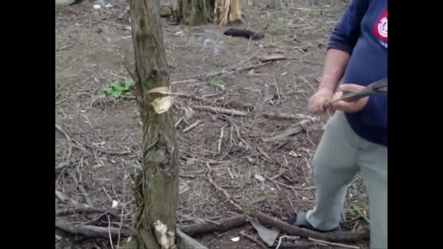 Тест таежного топора. смотреть онлайн