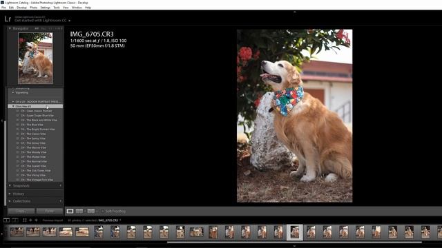 CÓMO INSTALAR PRESETS EN LIGHTROOM CLASSIC (XMP Y LR TEMPLATES) смотреть онлайн