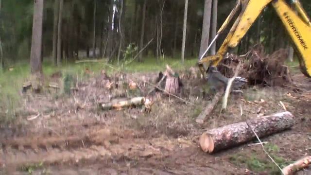Уборка участка от деревьев и кустарников смотреть онлайн