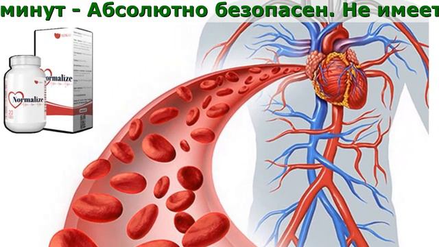 Normalize Инструкция смотреть онлайн