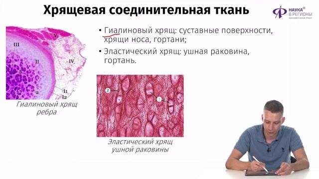 Биология | Уровни организации живой материи смотреть онлайн