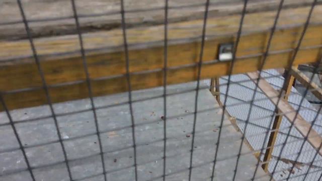 Продолжение 30 октября ястреб и мордовский голубь . смотреть онлайн