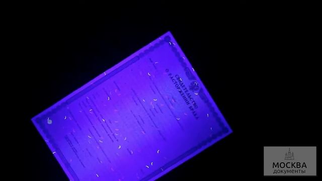 Свидетельство о расторжении брака смотреть онлайн