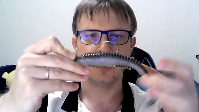 ВДХР с Нуля Приманки Narval, Relax, Keitech, Поролоновые рыбки, Boroda Baits Bearded Mouse смотреть онлайн