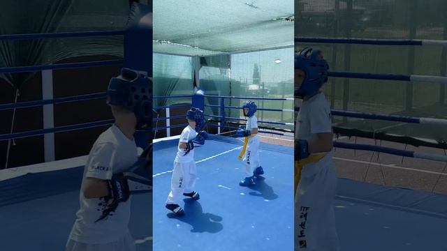 Дельта г.Анапа 2022 Taekwon-Do ITF смотреть онлайн
