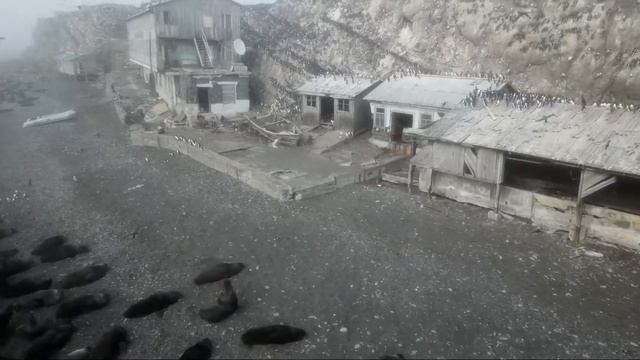 Остров Тюлений смотреть онлайн