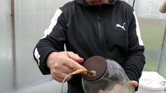 Автоматическая форточка для проветривания теплицы / форточка-автомат. смотреть онлайн