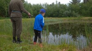 Ловим ротана с мл.сыном. Как и на что поймать ротана в пруду летом. Рыбалка в Ленинградской обл 202