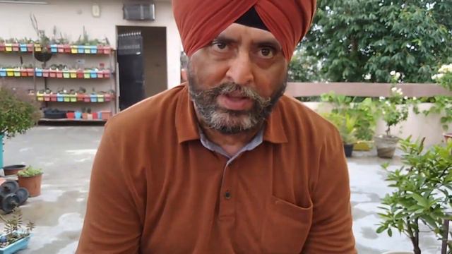 Obregonia Denegrii | Cacti Care