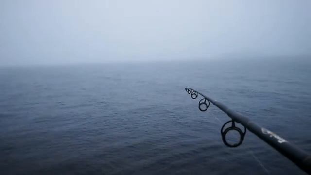 Shad Bay (Новая Шотландия) Ловля макрели смотреть онлайн