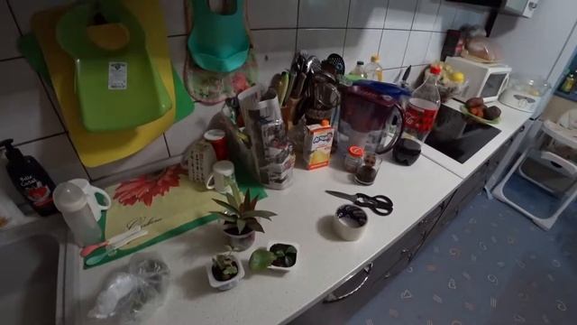 Как правильно упаковать комнатные растения для перевозки зимой!?