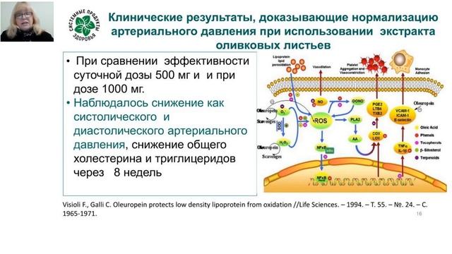 Новый продукт - АД Контроль смотреть онлайн