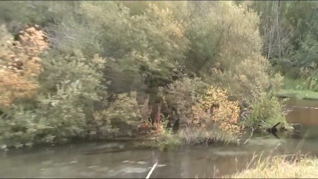 Молчаливое поле #33 смотреть онлайн