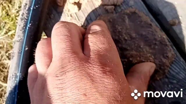 д. Александрово Можайский район. 7м абиссинка. смотреть онлайн