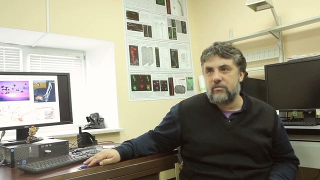 "Клеточные механизмы магниторецепции у птиц" семинар в РЦ "ЦКП Хромас" смотреть онлайн