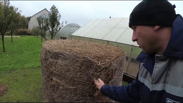 Гуси утопают в грязи//Решение проблемы смотреть онлайн