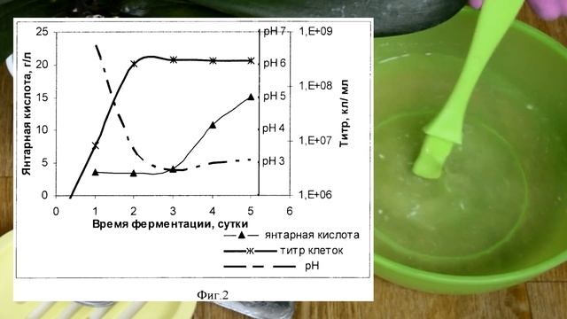 РЕАНИМАЦИЯ ОРХИДЕИ БЕЗ КОРНЕЙ ЯНТАРНОЙ КИСЛОТОЙ! КАК РЕАНИМИРОВАТЬ ОРХИДЕЮ #1 ЧАСТЬ смотреть онлайн