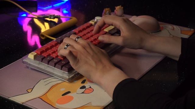 asmr typing | holytom switches, steel plate, tape mod смотреть онлайн