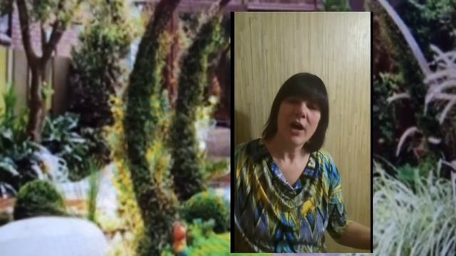 Как сделать из своего САДА конфетку БЫСТРО! смотреть онлайн