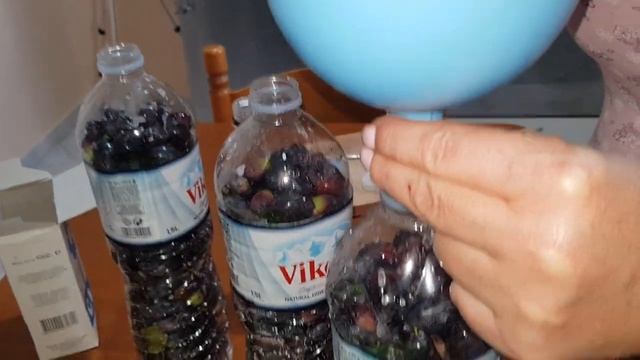 КАК ГРЕКИ ЗАГОТАВЛИВАЮТ ОЛИВКИ! смотреть онлайн