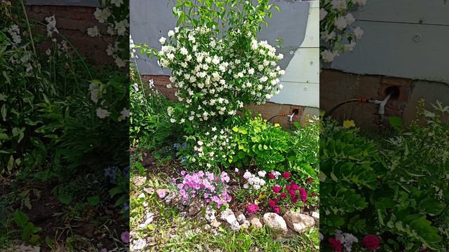 С чего всё начиналось! 2022 год. фото смотреть онлайн