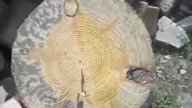 Стройка с Вами