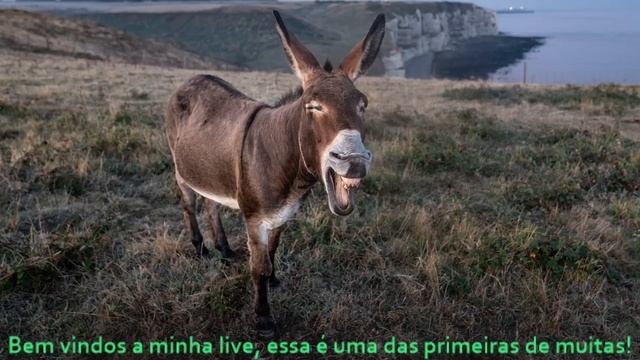 (Aulinha) Criando um site em PHP7 e MYSQL. смотреть онлайн
