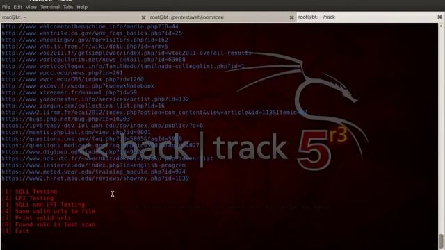How to find Big List of vulnerables websites to SQL inJections смотреть онлайн