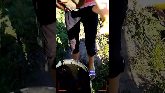 Как плавает ежик смотреть онлайн