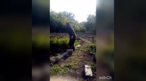 Известкование пруда. Как и сколько по площади.