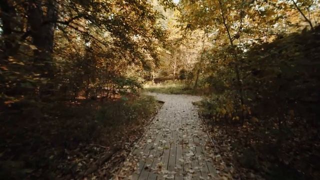 Оркестр Поля Мориа Сборник Лучших Мелодий Paul Mauriat Collection Of The Best Melodies.mp4 смотреть онлайн