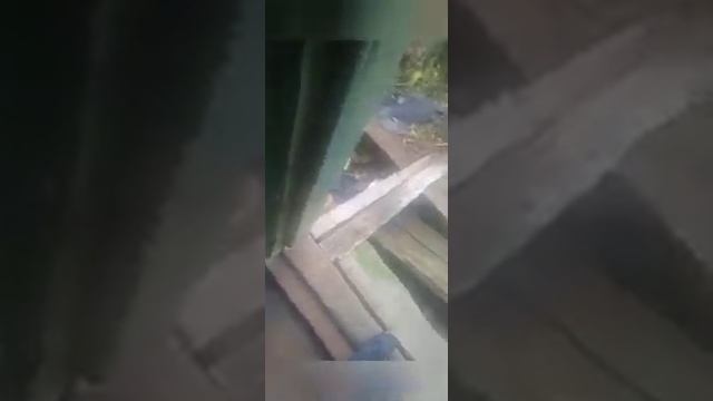 кражи на дачах/ мнение. смотреть онлайн