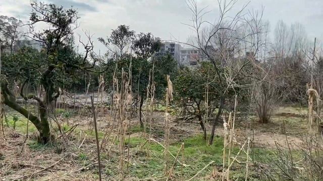 Продаётся земля в Гонио, 350 метров от моря, 95$ за кв.м. смотреть онлайн