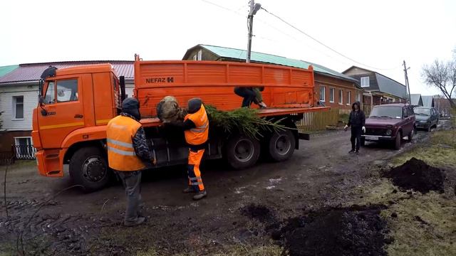 Акция "Зеленая Башкирия". В сквере Зои Космодемьянской посадили ели смотреть онлайн