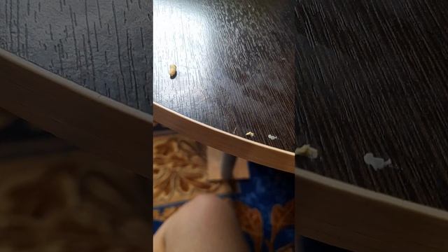 сделал модуль из Portal 2 часть 2 смотреть онлайн