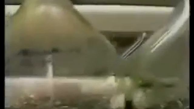 Федоренко М Я Матрица аминокислот смотреть онлайн