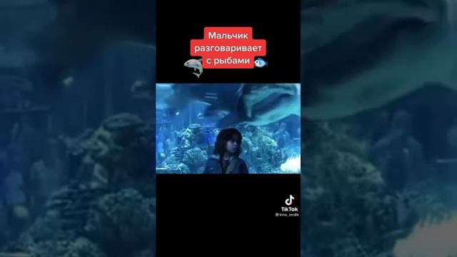 мальчик разговаривает с рыбами😨😱😵 смотреть онлайн