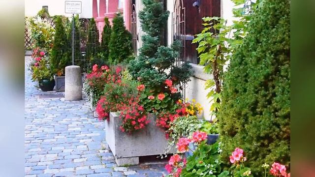 Контейнерное озеленение смотреть онлайн