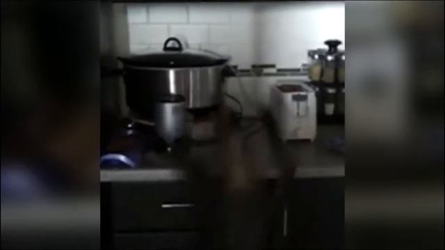 ШОК!! ЭТОТ ПУГАЮЩИЙ ТОСТЕР смотреть онлайн